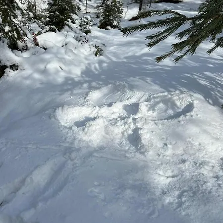 Ferienhaus Haus Auszeit Maurach (Achensee)