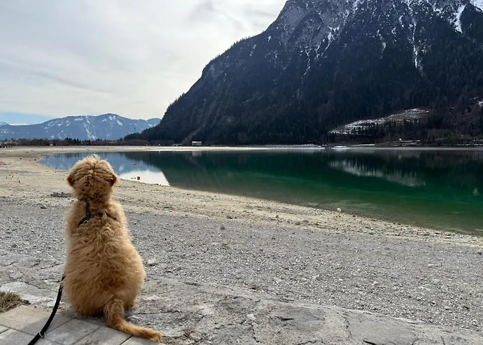 Casa de Férias Haus Auszeit