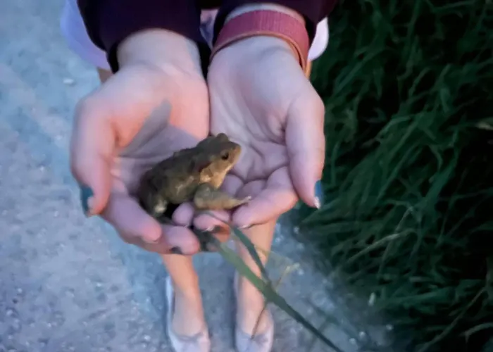 Haus Auszeit * Maurach (Achensee)