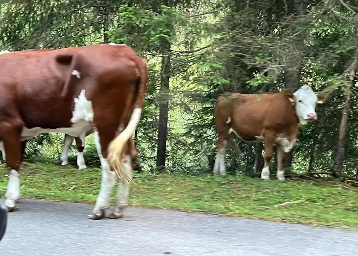 Haus Auszeit Casa de Férias *