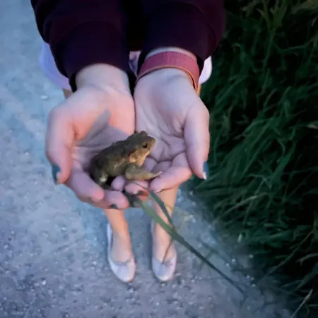 Haus Auszeit * Maurach (Achensee)